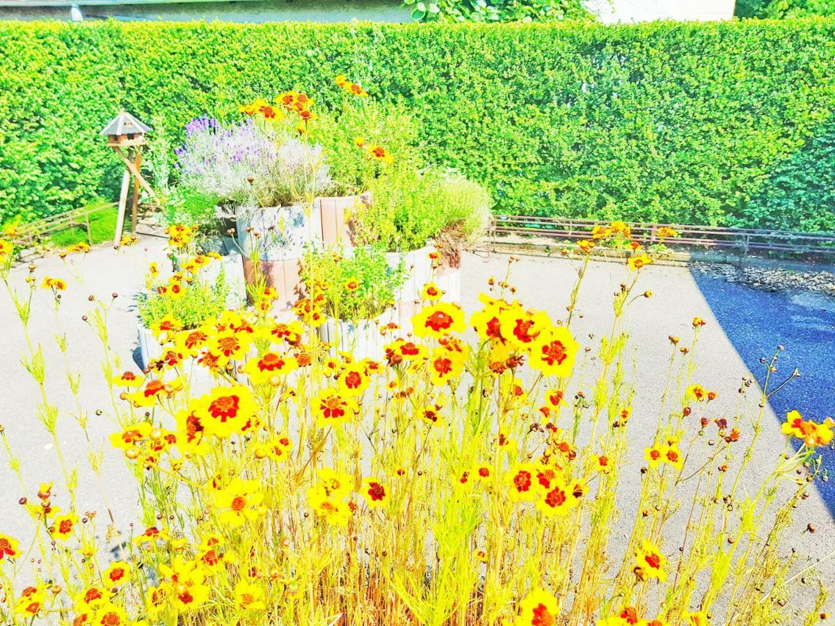 Hotel Sonne Friedrichshafen Extérieur photo